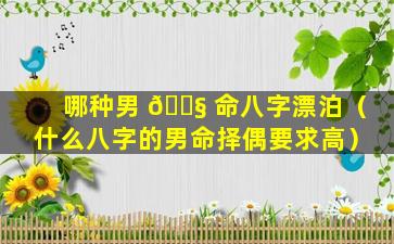 哪种男 🐧 命八字漂泊（什么八字的男命择偶要求高）